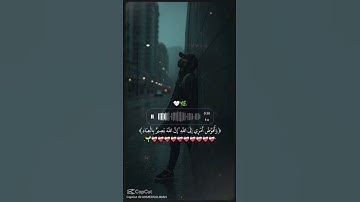 #ارح_قلبك #القرآن_الكريم #المصحف #اكسبلور #ترند #الرحمن #لايك #سورة_الإخلاص #تيك_توك