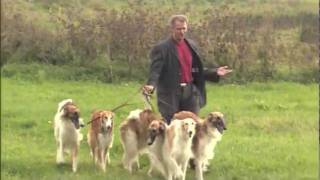 Gerd Christian singt "Ich träum von dir" mit Barsois in der Uckermark chords