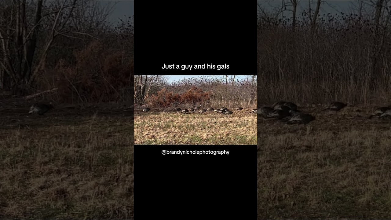 This tom takes his duties seriously! 