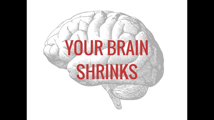 How to protect your brain from stress| 4 ways to help your brain function better|Chronic stress