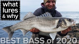 Best Bass 2020 What Lures Why Seabass Fishing Ireland