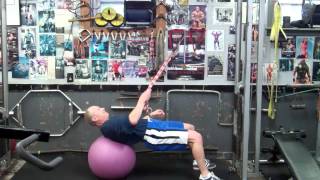 Swiss Bridge Supine 1 Arm Cable Row and Swiss Ball Horizontal Push Ups Net Worth