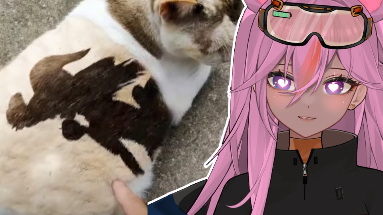 Реакция человека-кошки на мемы про кошек II. VTuber реагирует на множество мемов про кошек в Disc...