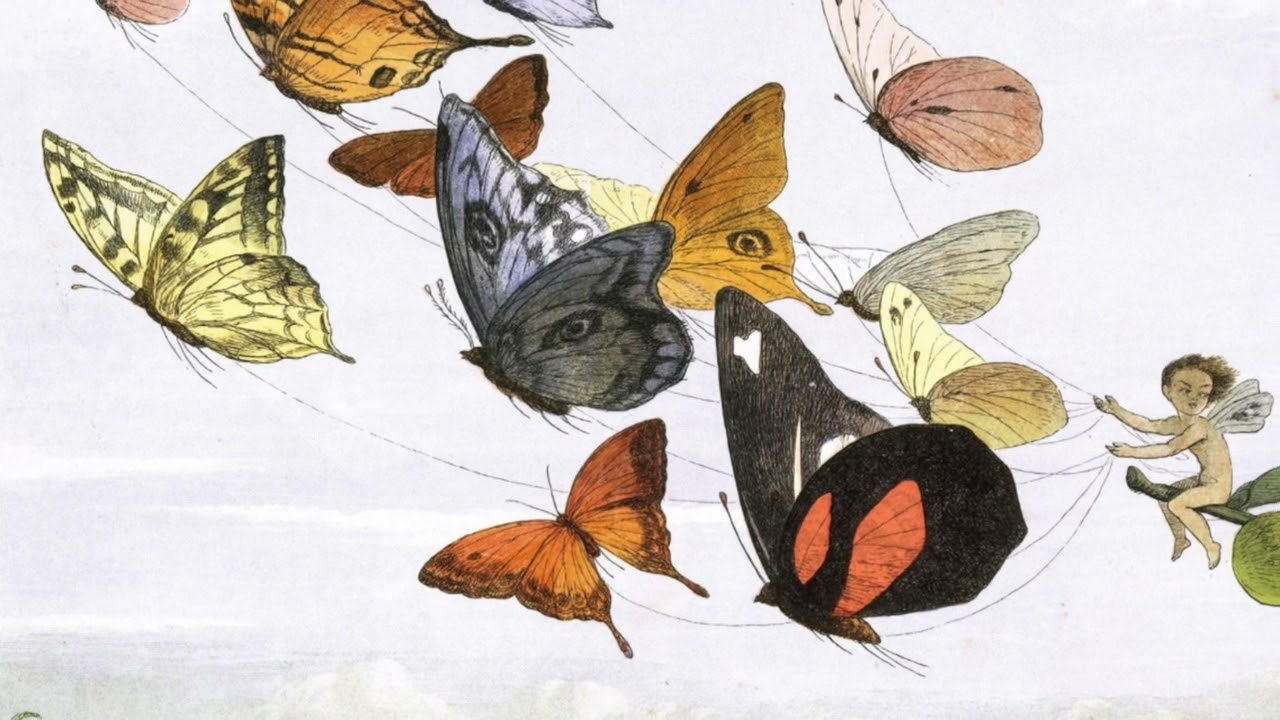 POEM IN MY FAIRY GLEN