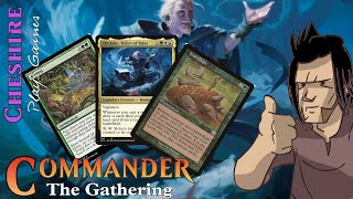 #cEDH Chulane, Teller of Tales Food Chain Aluren Combo Deck Tech