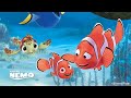 Small turtle swimming in the ocean #nemo #gaming #wildlife #cartoon #xbox