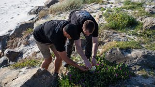 Something Wild x Cellar Door By The Sea - An Exploration of Indigenous Ingredients