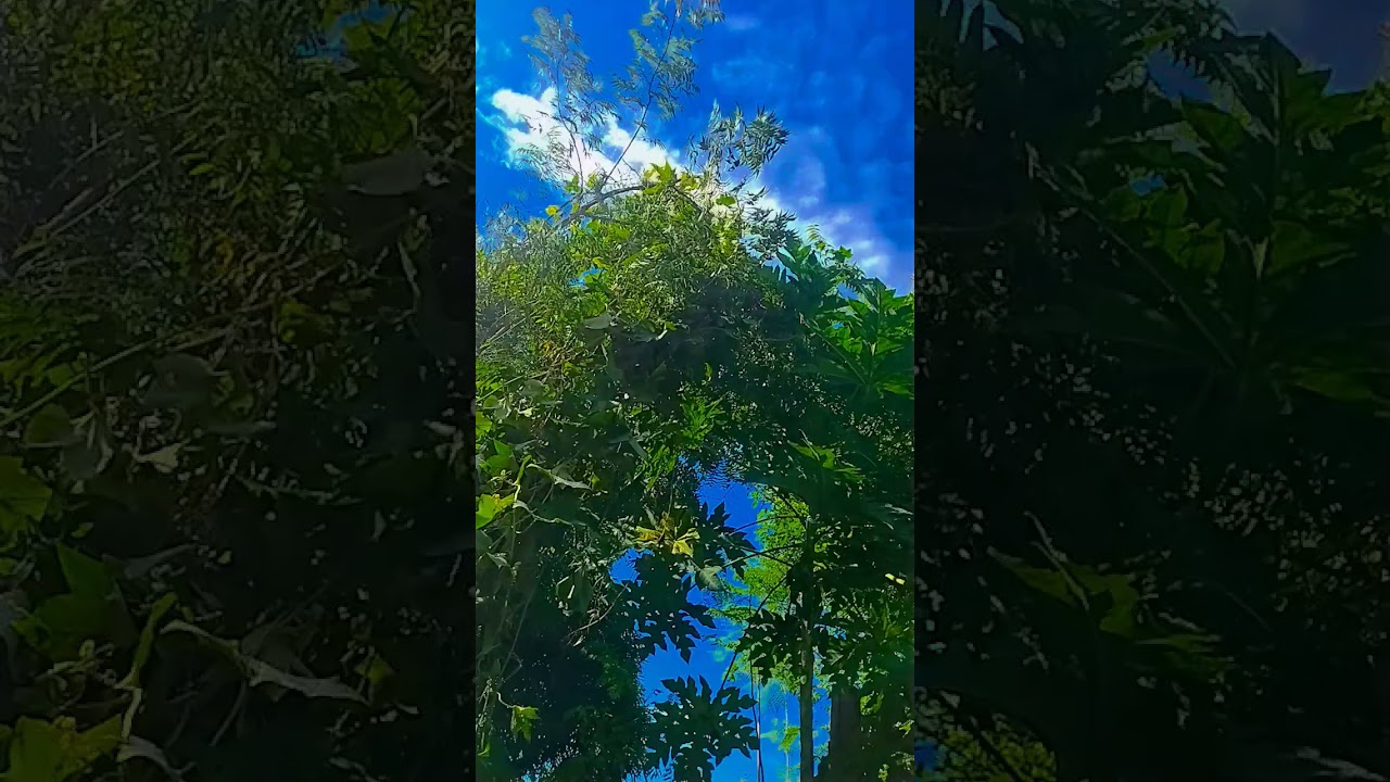 masoom neerav... short video... baatein Teri yaad Aaye to song....