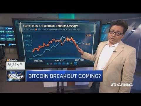 Fundstrat's Tom Lee may have found the next leading indicator for bitcoin