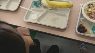 Deadline approaching for Summer EBT program in Georgia Steps Georgia leaders must take