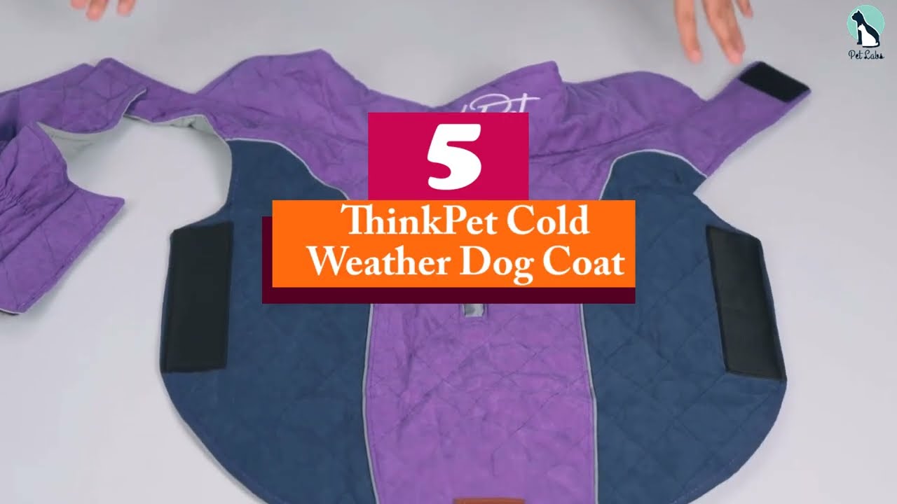 How to Choose the Perfect Dog Jacket for Winter A Comprehensive Guide