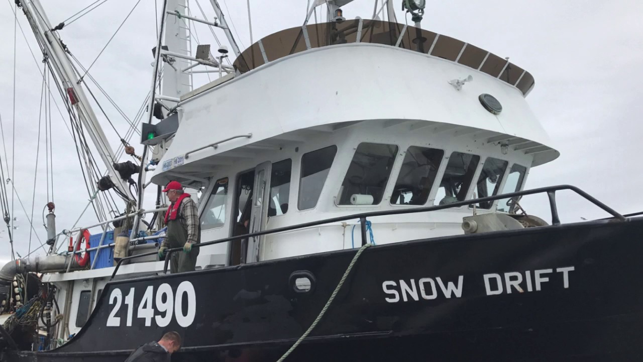 BC Roe Herring March 2017 - YouTube