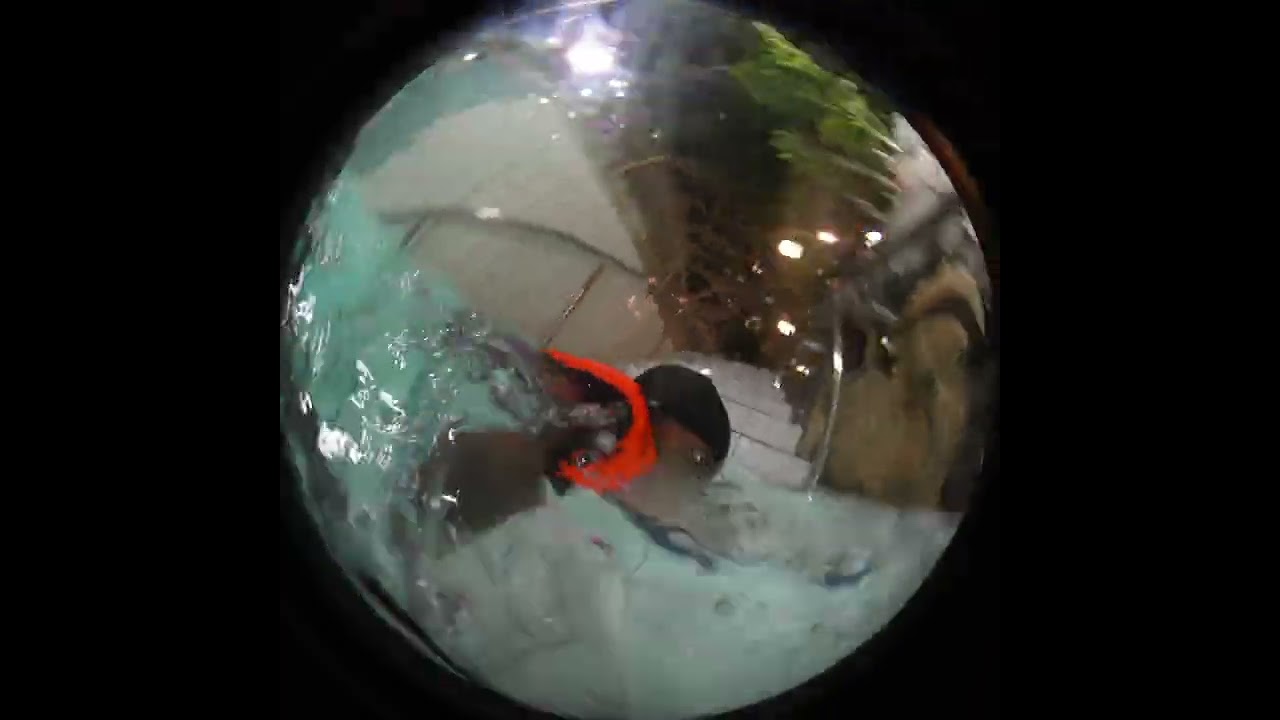 Les ailes du futur center parcs famille2