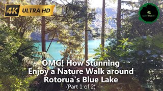 Walk in Nature around Rotorua's Blue Lake #naturewalk #lake #rotorua #hiking