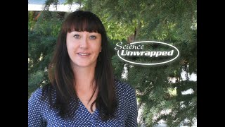 Science Unwrapped: Sharks - Guardians of Our Oceans