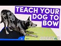 Take a Bow: Teach Your Dog to Bow