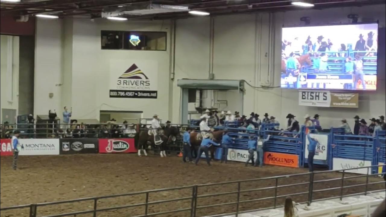 PRCA Rodeo Great Falls MT Saddle Bronc Excellent Ride 2023 YouTube