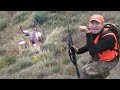 Colorado Deer Hunting with Guy Eastman - Eastmans’ Hunting TV