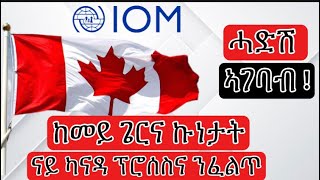 🛑 EVEN MEDIA- ፕሮሰስና ኣበይ በጺሑ ኣሎ 🇨🇦HOW CAN WE CHECK OUR APPLICATION STATUS | Group Five Process CANADA screenshot 5