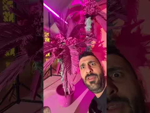 مهدی داب زیر نخلا