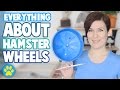 Hamster Wheels 101 | Everything You Need To Know