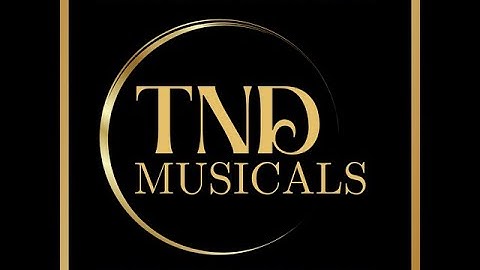 VIDEO PHOTO GALLERY: 15 TND Musicals (A Premiere Playhouse Cols. OH) AVAILABLE for theatre licensing