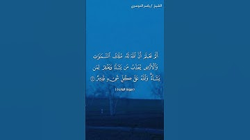 سورة المائدة ( آية ٤٠) / ياسر الدوسري