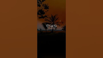 اكتب شيء تؤجر عليه 😴🩶 قران كريم | ياسر الدوسري