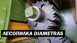:   Diametras - SAWMILL LINE (video 3)