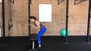 Hip Hinge Squat Mechanics with a Bench