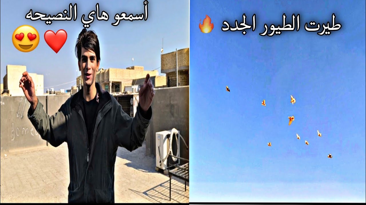 اليوم طيرت الطيور الجدد كلهن🔥🕊️