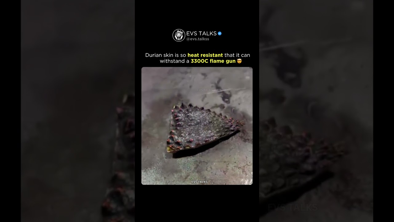 Durian Skin Can Survive 3300°C Flame Gun?! 🔥😱 | Insane Heat Resistance!