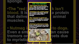 Did you know raw oysters are alive when eaten?