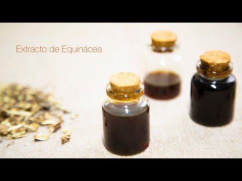 Video: ¿Qué es la tintura de equinácea?