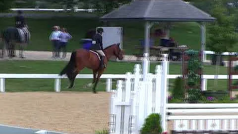 Video of MTM ONE TIME ridden by DOROTHY DOUGLAS fr...