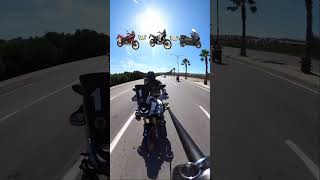 Africa twin Vs voge 800 Rally Vs Tmax 560