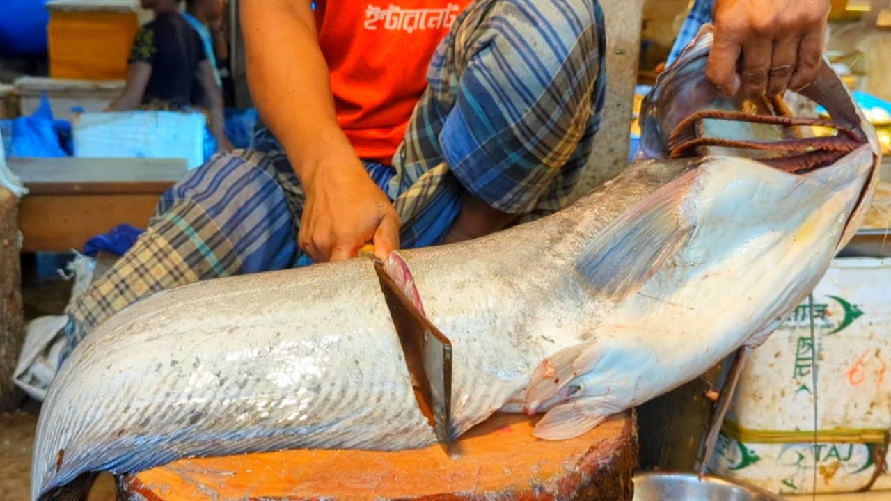 10 KG Giant Monster Boal Fish Cutting Skills In Fish Market | Fish ...