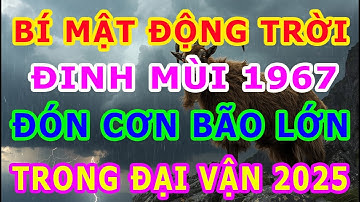 BÍ MẬT ĐỘNG TRỜI: Đinh Mùi 1967 Chuẩn Bị Đón CƠN BÃO LỚN Trong Đại Vận 2025