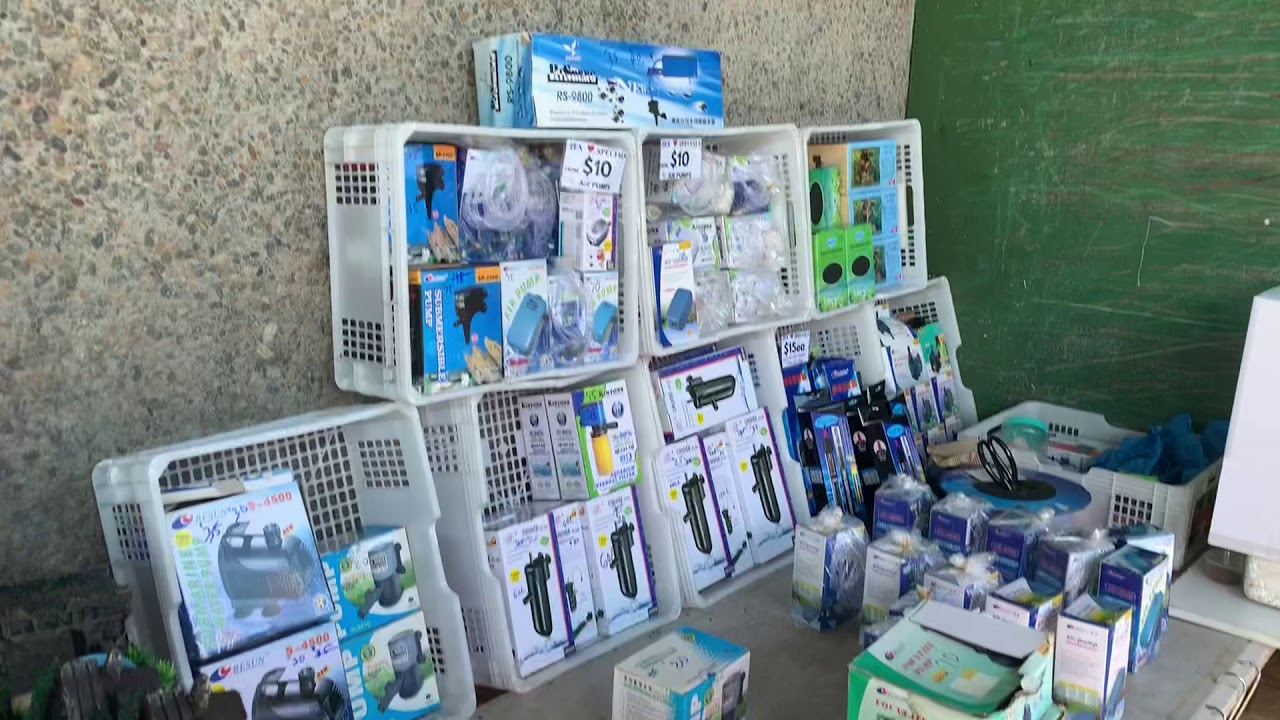 Flemington Sydney Pets Market Fish World YouTube