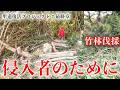 50年、竹に閉ざされた里道の復活。海まで降りれる道を作りました。#300