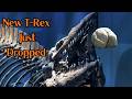 Rock Bottom News 5/26/2026 - New T-Rex Just Dropped! #tylosaurusrex #tylosaurus #trex #fossils
