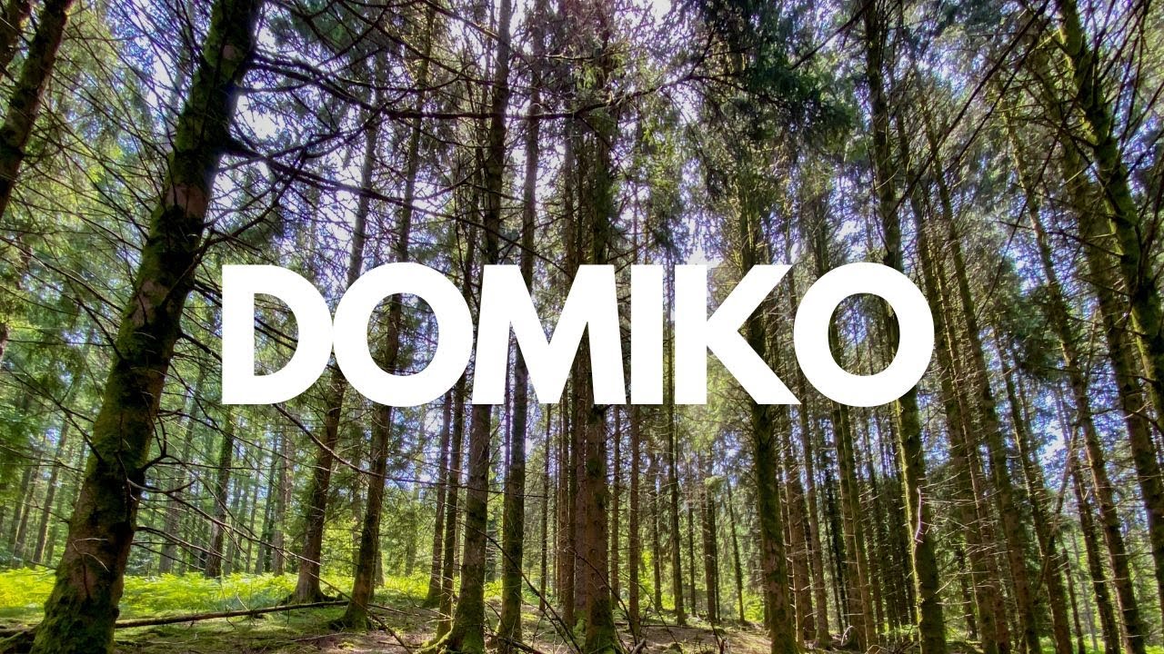 Magnífica sequoia gigante en el embalse de Domiko, Nafarroa Basque Country.