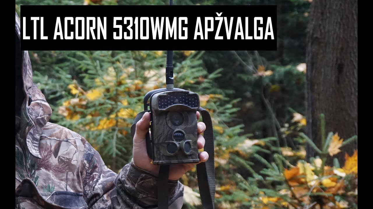 LTL Acorn 5310WMG Apžvalga (apžvalga, nustatymai, testavimas)