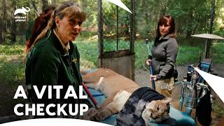 Terri's  Emotional Visit to Oregon’s Wildlife Sanctuary | Crikey! It’s The Irwins | Animal Planet