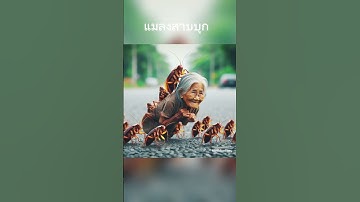 แมลงสาปบุก#แมลงสาบ #หญิงชรา #น่ากลัว #อันตราย #video #ตลก #เรื่องแปลก #คลปตลก #เรื่องสั้น #กระแส