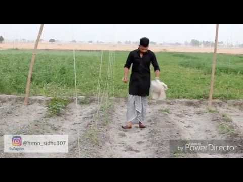 Tait Goriye.( ਘੈਟPhotography) Lateast Punjabi Song