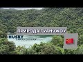 Природа Гуанчжоу. Какие места нужно обязательно посетить на Юге Китая?