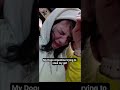Dogo Argentino vs Girlfriend.