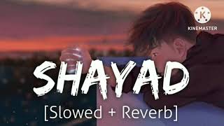 Shayad song  Arijit Singh | MXRCI | slowed and reverb | lofi song | Mast lofi music |