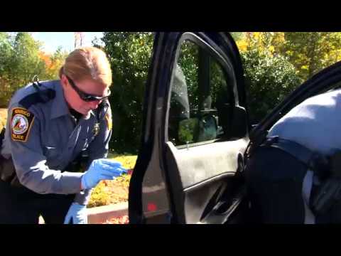 Mannequin Challenge - Henrico Police